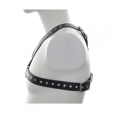Harnais SM Stud Chest