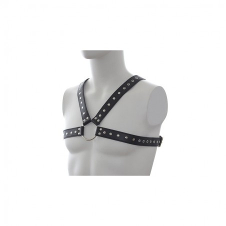 Harnais SM Stud Chest