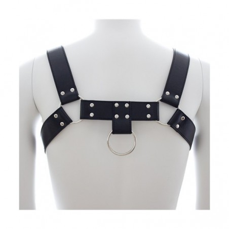 Harnais SM Upper Body Chest