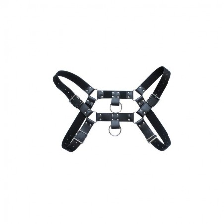 Harnais SM Upper Body Chest