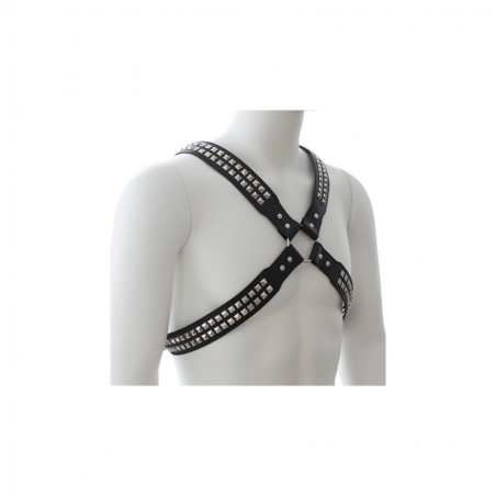 Harnais studs steel chest