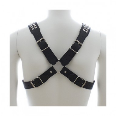 Harnais studs steel chest
