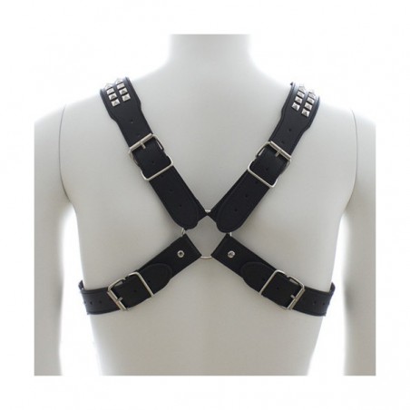 Harnais studs steel chest