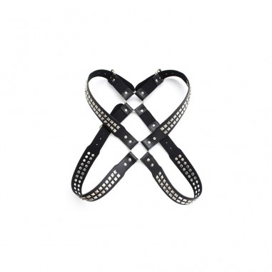 Harnais studs steel chest