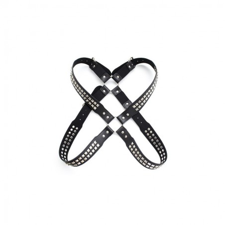 Harnais studs steel chest