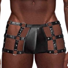 Boxer - Male Power - Vulcan