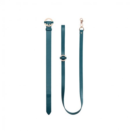 Collier et laisse - bleu