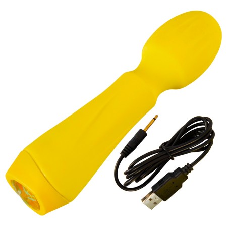 Mini Vibrator