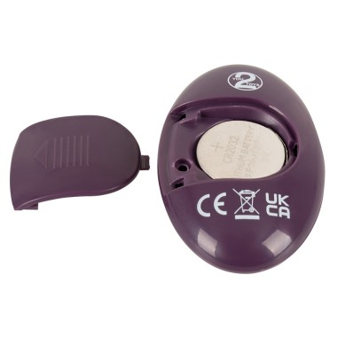 Coup!e choice - RC Couple's Vibrator 2