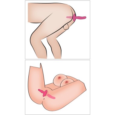 Coup!e choice - 2in1 Vibrator + Butt Plug