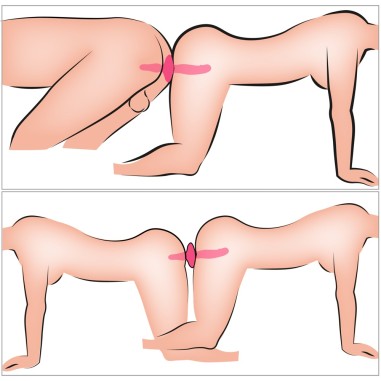 Coup!e choice - 2in1 Vibrator + Butt Plug