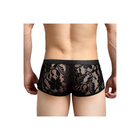 Boxer - Tauwell - Noir