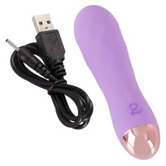 Mini Vibrator 2