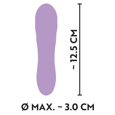 Mini Vibrator