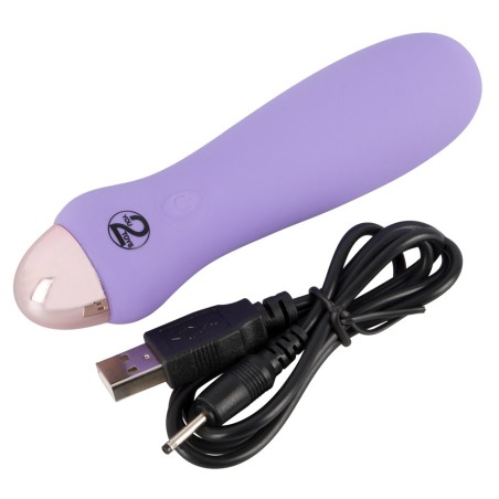 Mini Vibrator