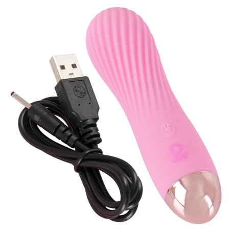 Mini Vibrator