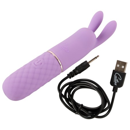 Mini Vibrator