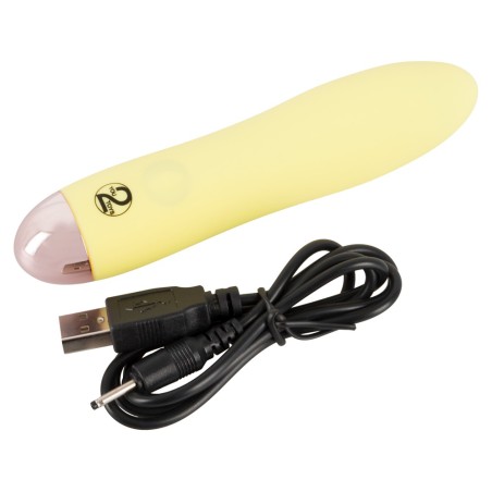 Mini Vibrator
